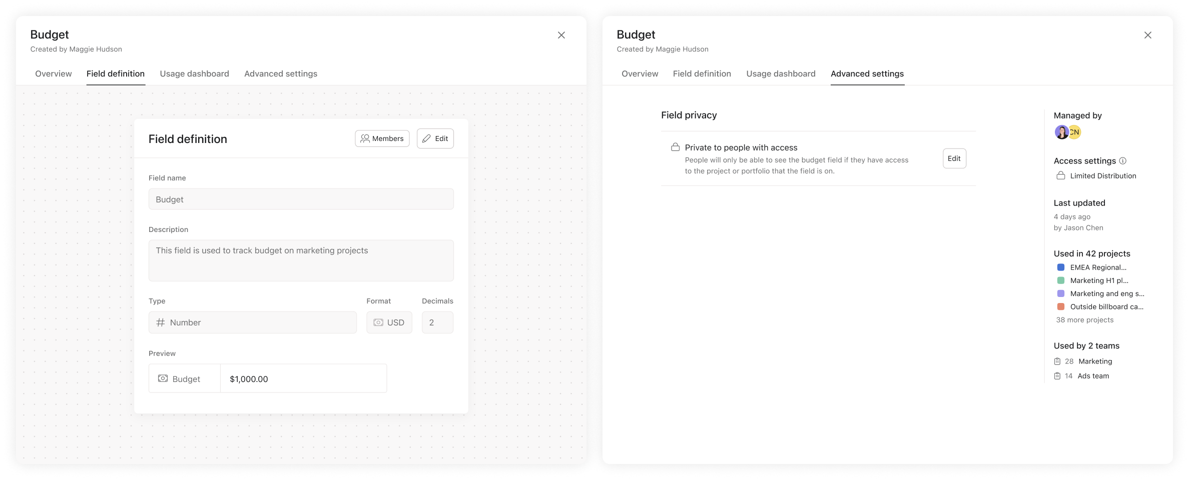 A full screen modal with multiple tabs: Overview, field definition, Usage dashboard, and Advanced settings